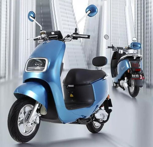 2020年電動(dòng)車(chē)行業(yè)最能跑的5款鉛酸電動(dòng)車(chē),哪款才是續(xù)航之王