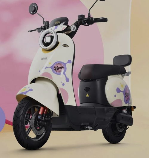 3款高品質(zhì)電動(dòng)車(chē)亮相,拒絕花里胡哨配置,主打?qū)嵱眯?2100起 鉛酸 電機(jī) 續(xù)航 鋰電池 安全性能 網(wǎng)易訂閱