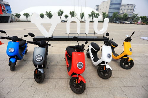 小牛踏足印度市場 中國電動車全球征戰(zhàn)再下一城