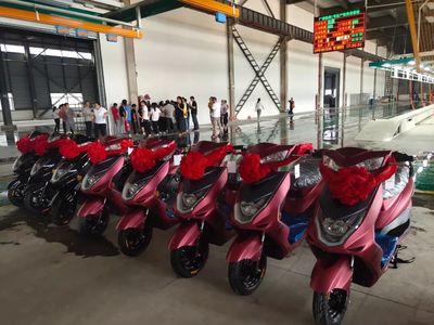 歐派貴港工廠正式投產(chǎn),五大電動車基地齊發(fā)力,沖擊百萬銷量!